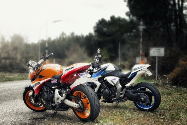 Beautiful motorcycles next to the road