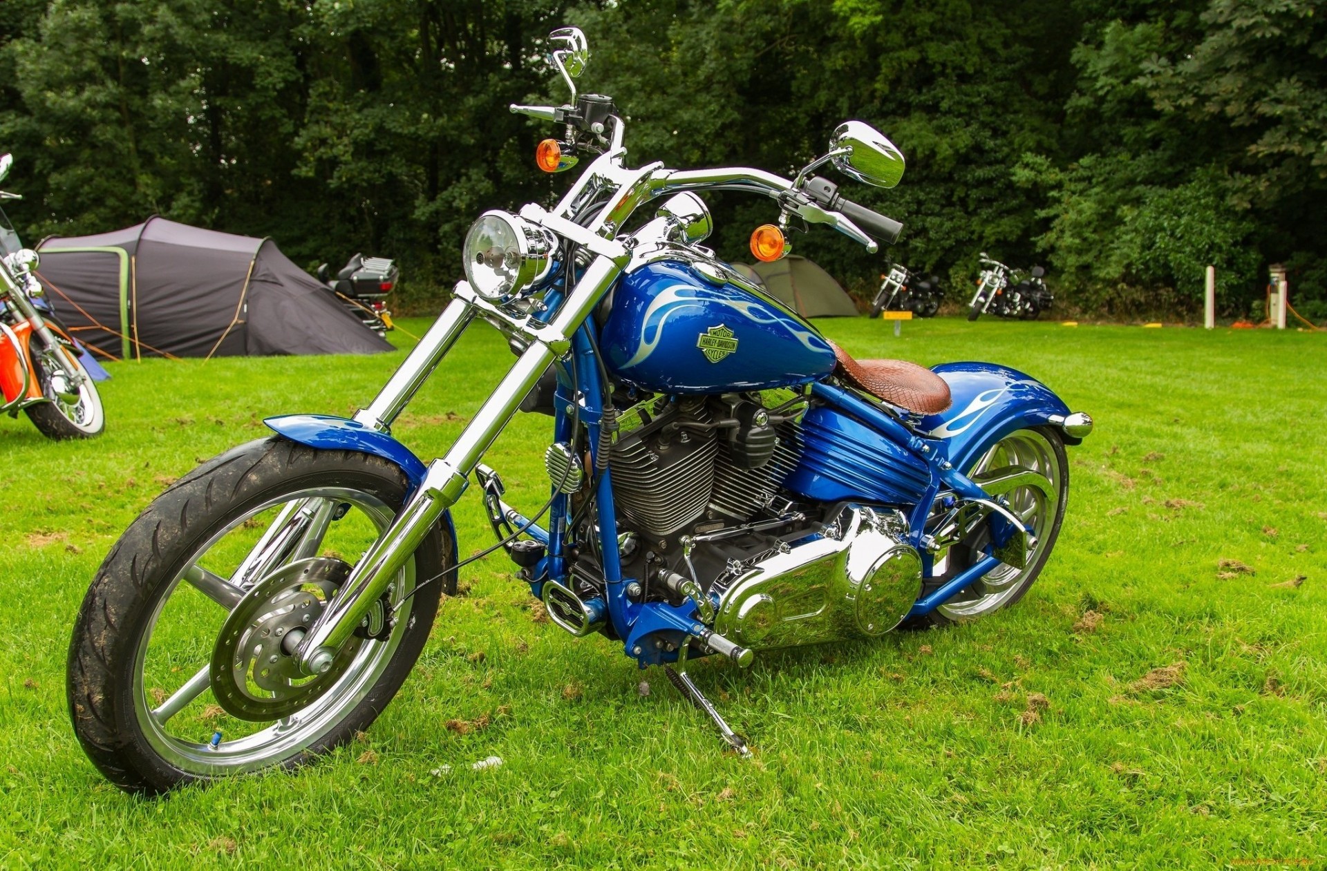 bike harley davidson blue