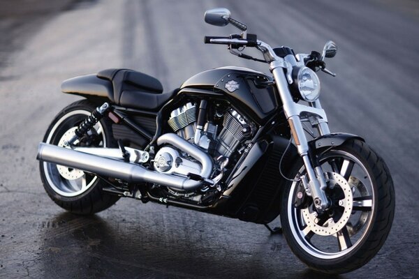 Harley Davidson negro en la carretera