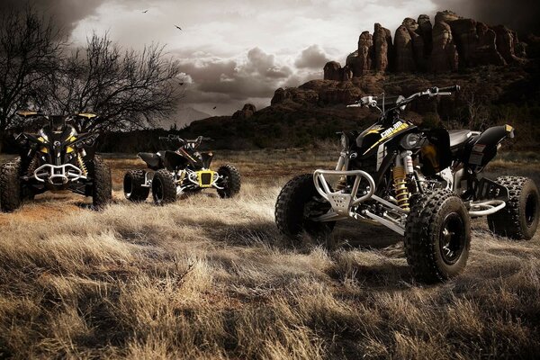 Quads en un campo bajo un cielo sombrío