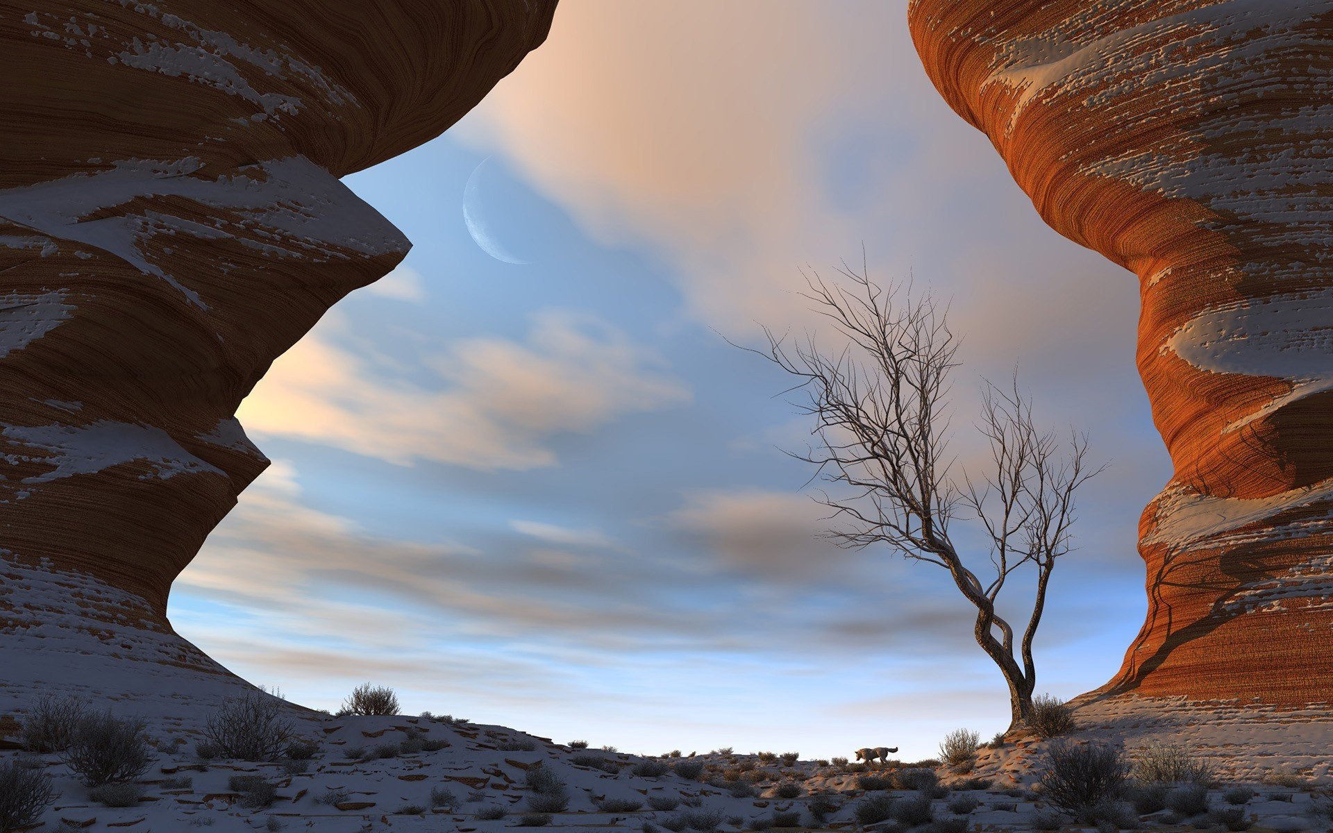 naturaleza luna nubes cielo árbol rocas