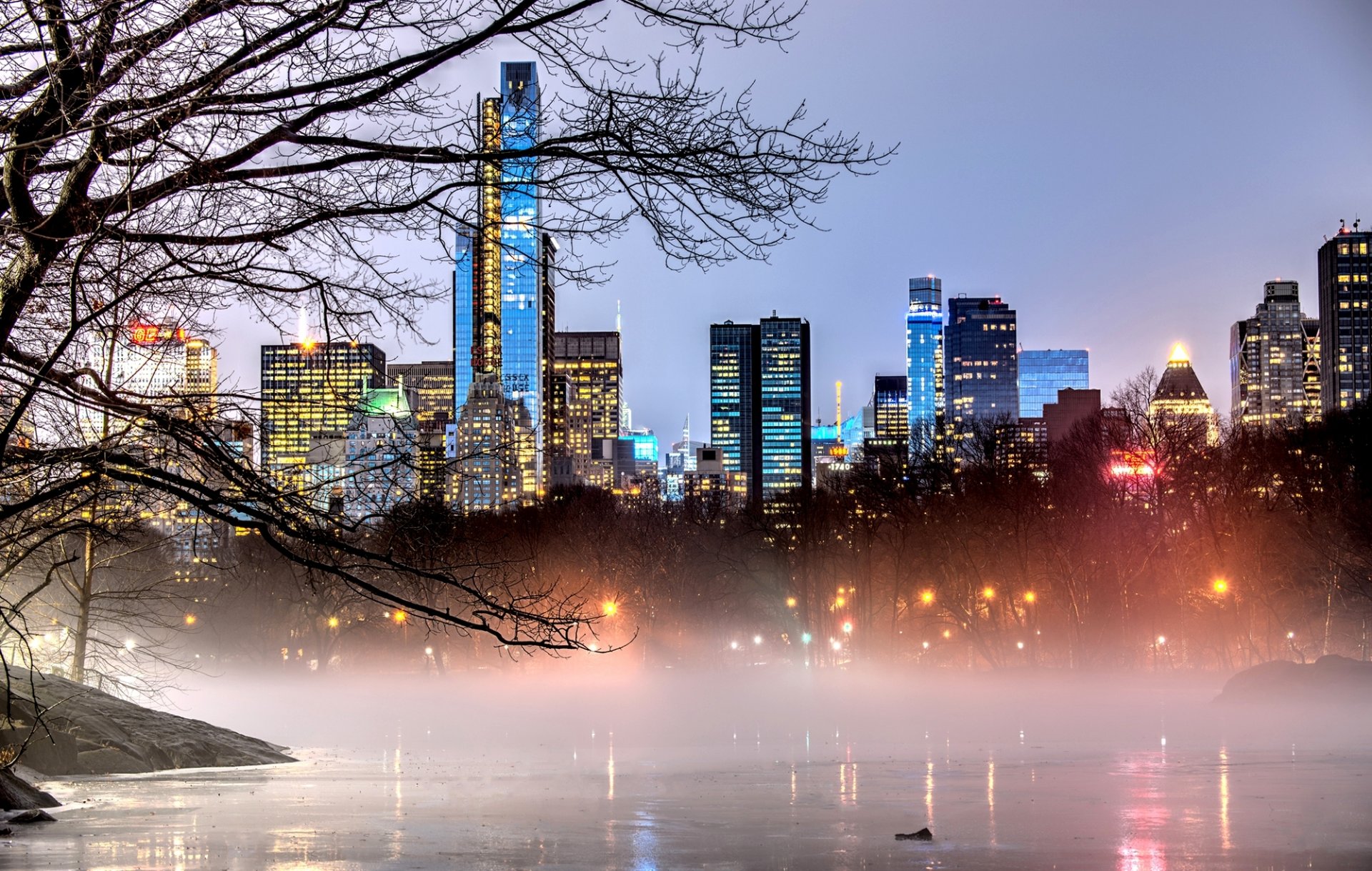 new york manhattan central park usa city evening trees branches lights fog nature park lake buildings houses skyscraper