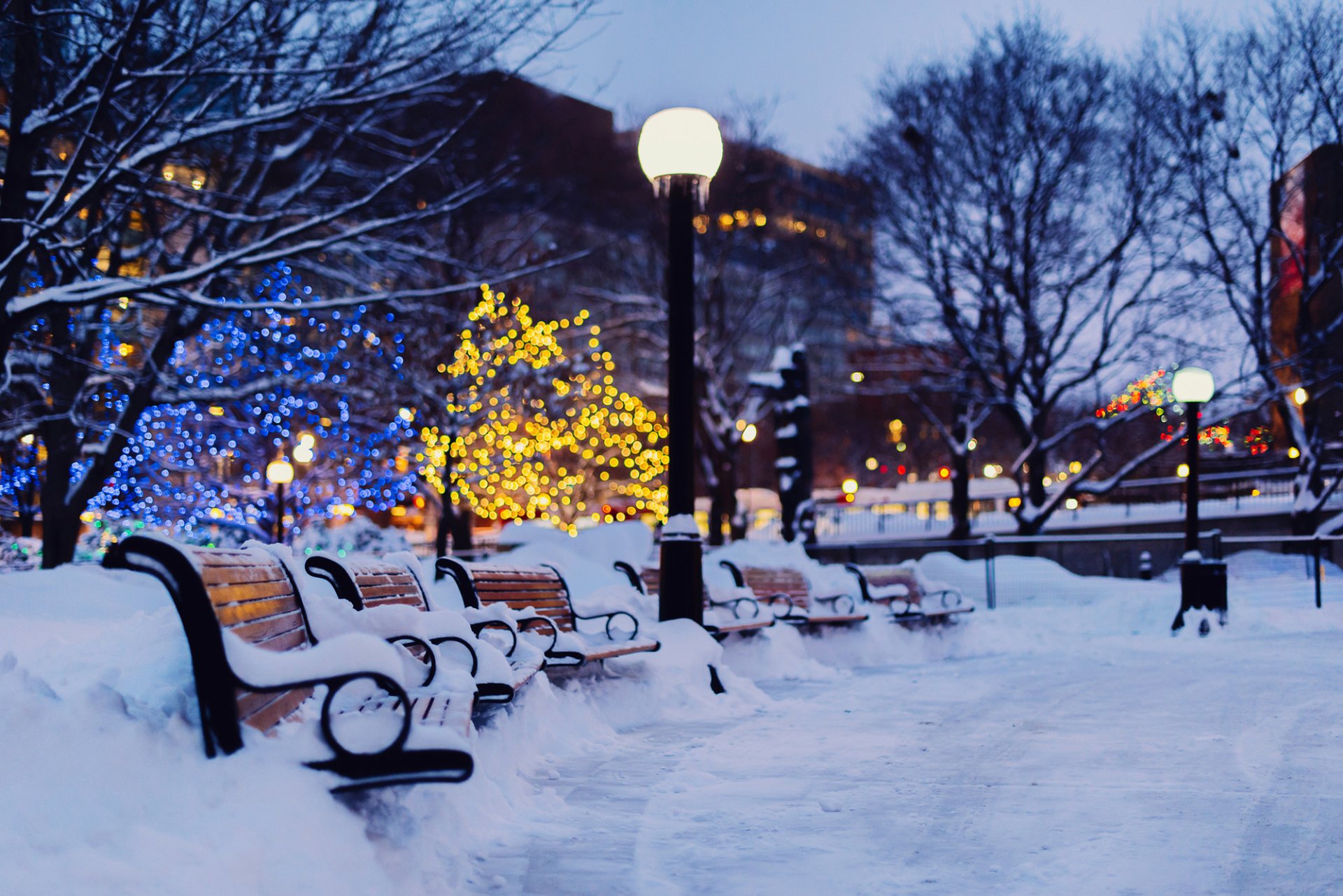 city evening winter snow benches benches benches lanterns lights lights garlands bokeh trees holiday