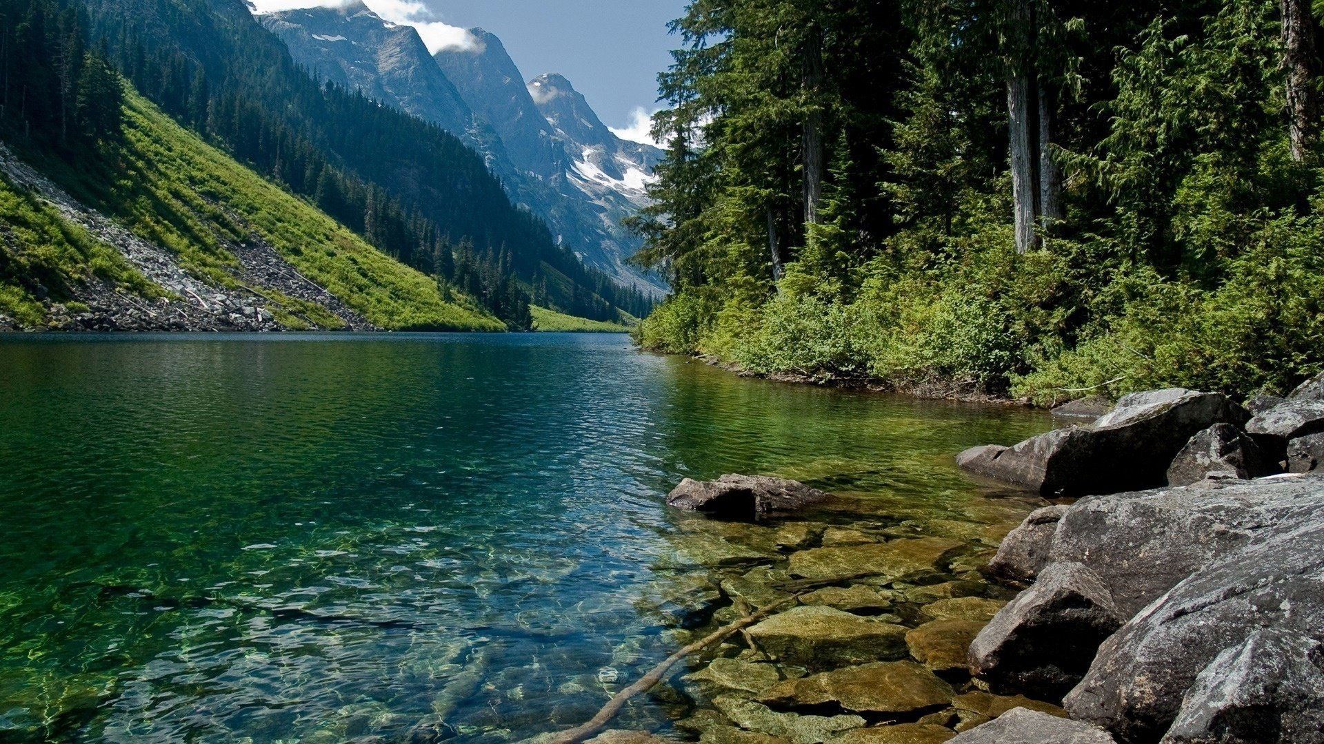 piedras montañas río bosque