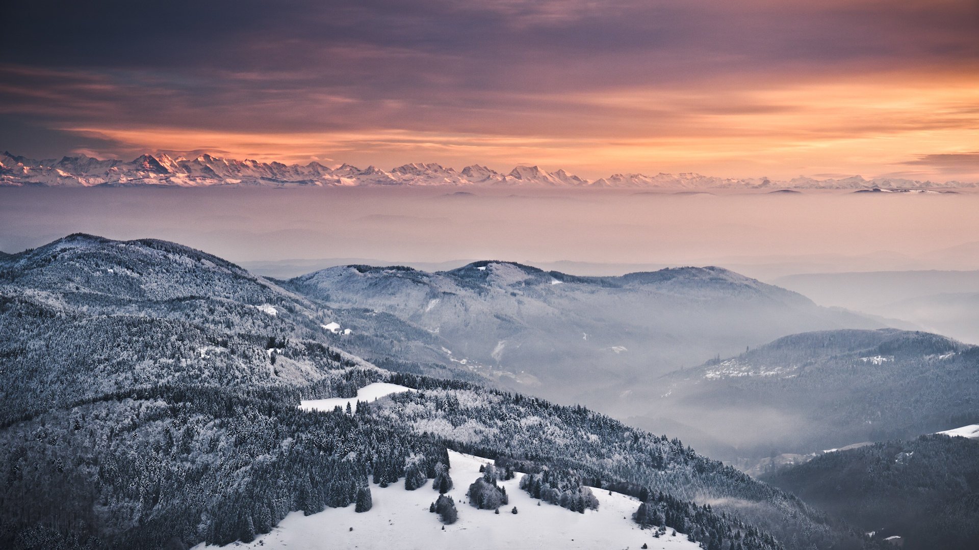 winter bäume abend alpen nebel schnee berge hügel