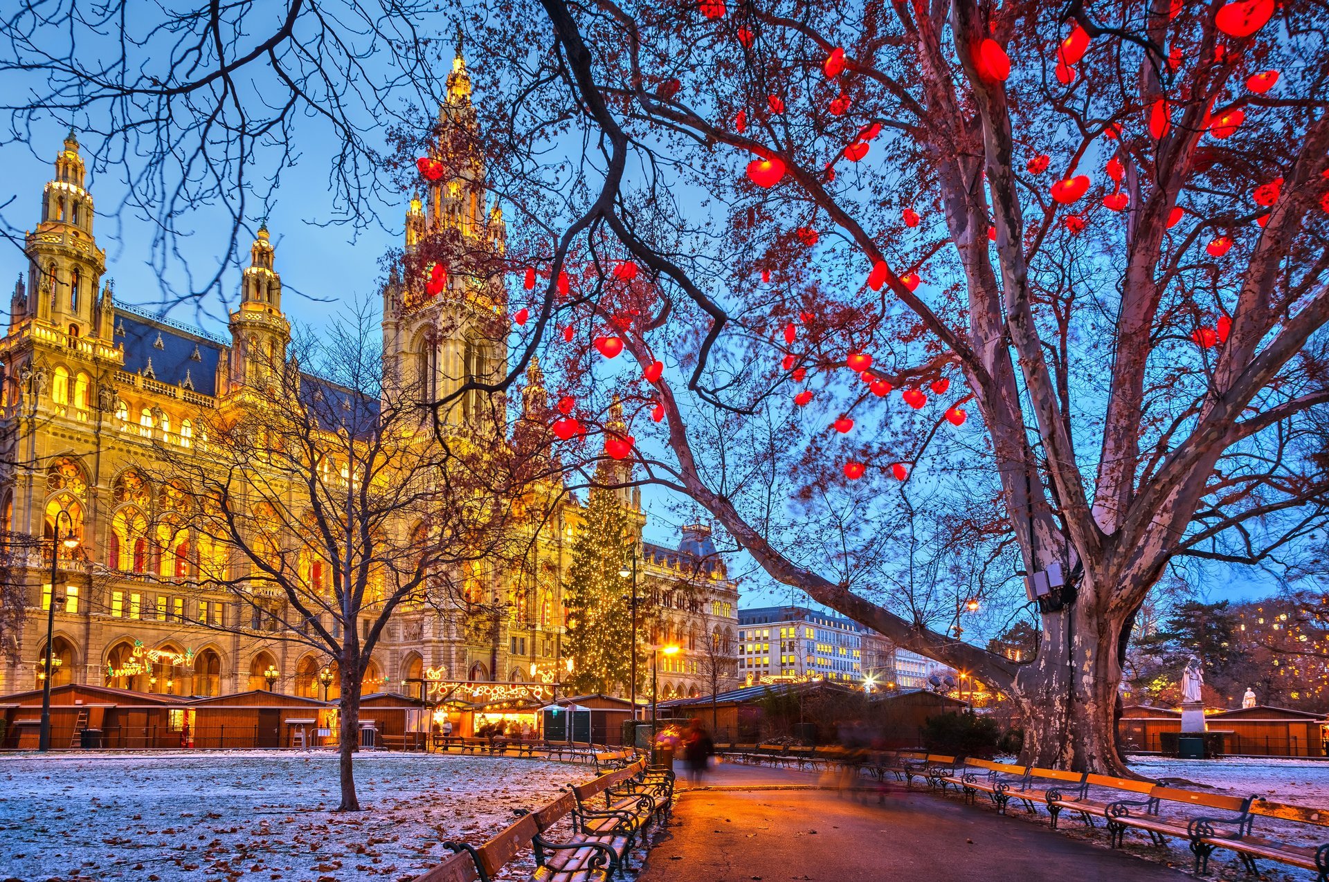 vienna austria vienna town hall vienna town hall winter snow city evening christmas holiday street trees benches buildings lights illumination