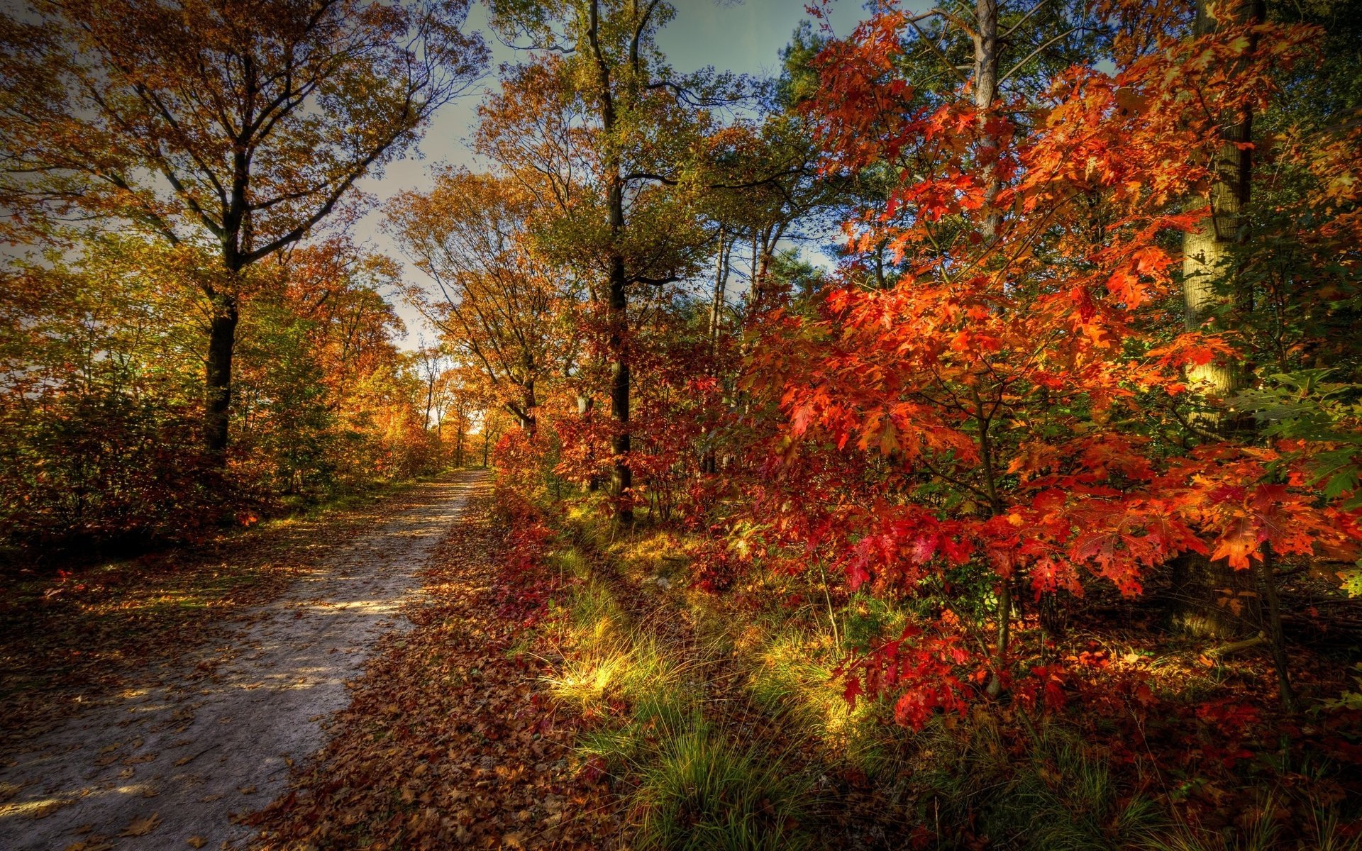 cielo paesaggio natura autunno strada