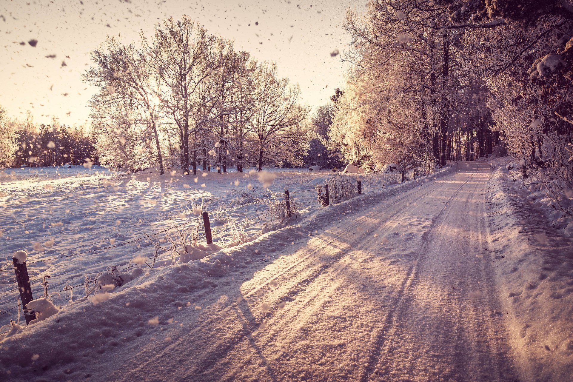 winter natur schnee straße bäume