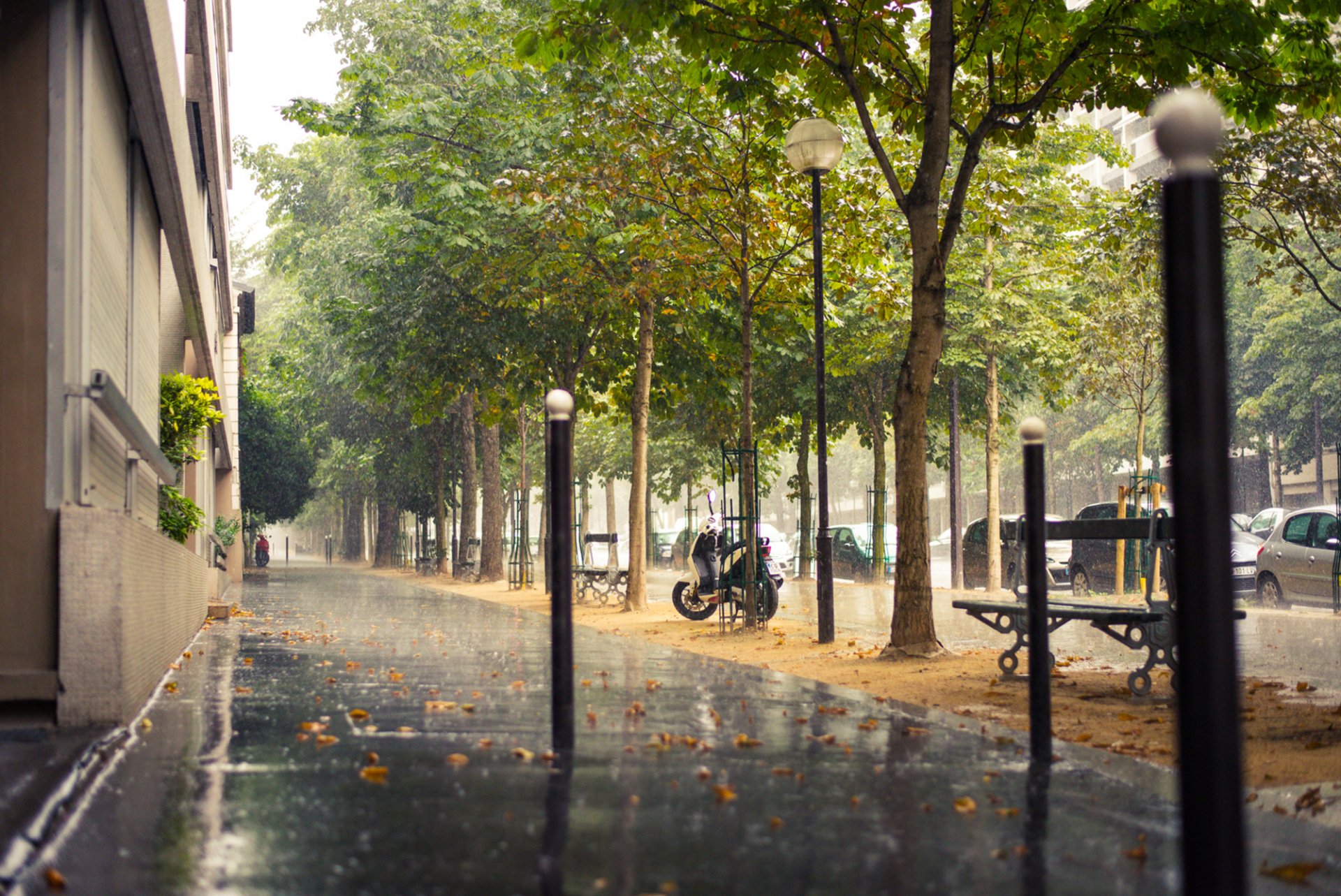 paris france rain town pavement street road machinery buildings house benches shops tree