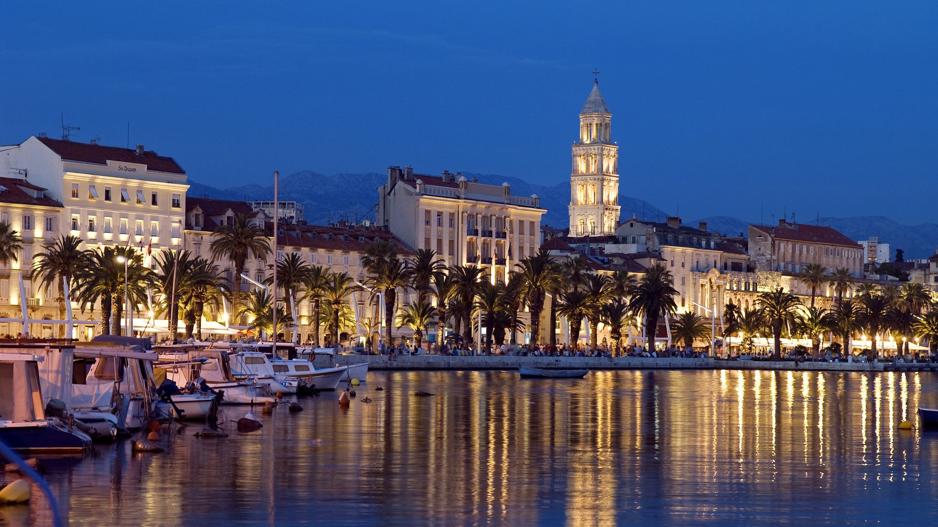 split kroatien strandpromenade bucht boote boote gebäude nachtstadt palmen