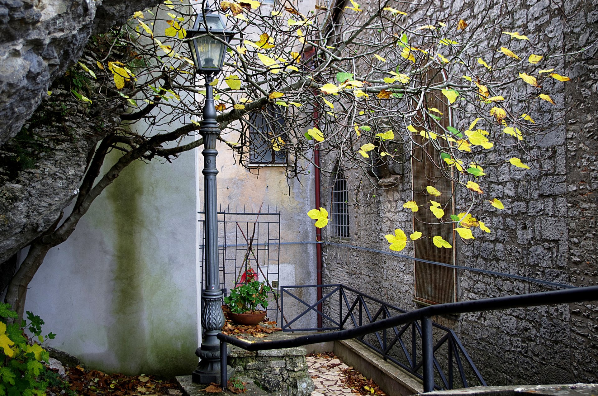 stadt haus hof laterne baum herbst