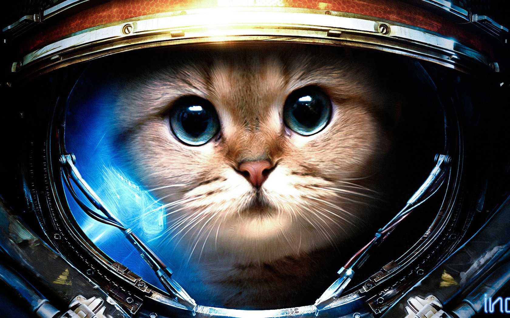 traje espacial gato starcraft