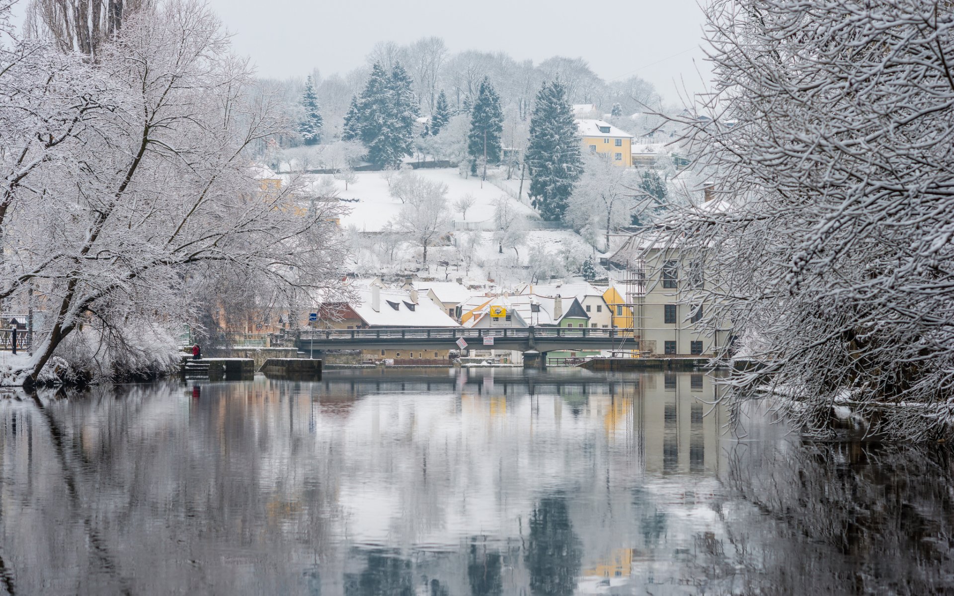 república checa praga río moldava invierno árboles nieve