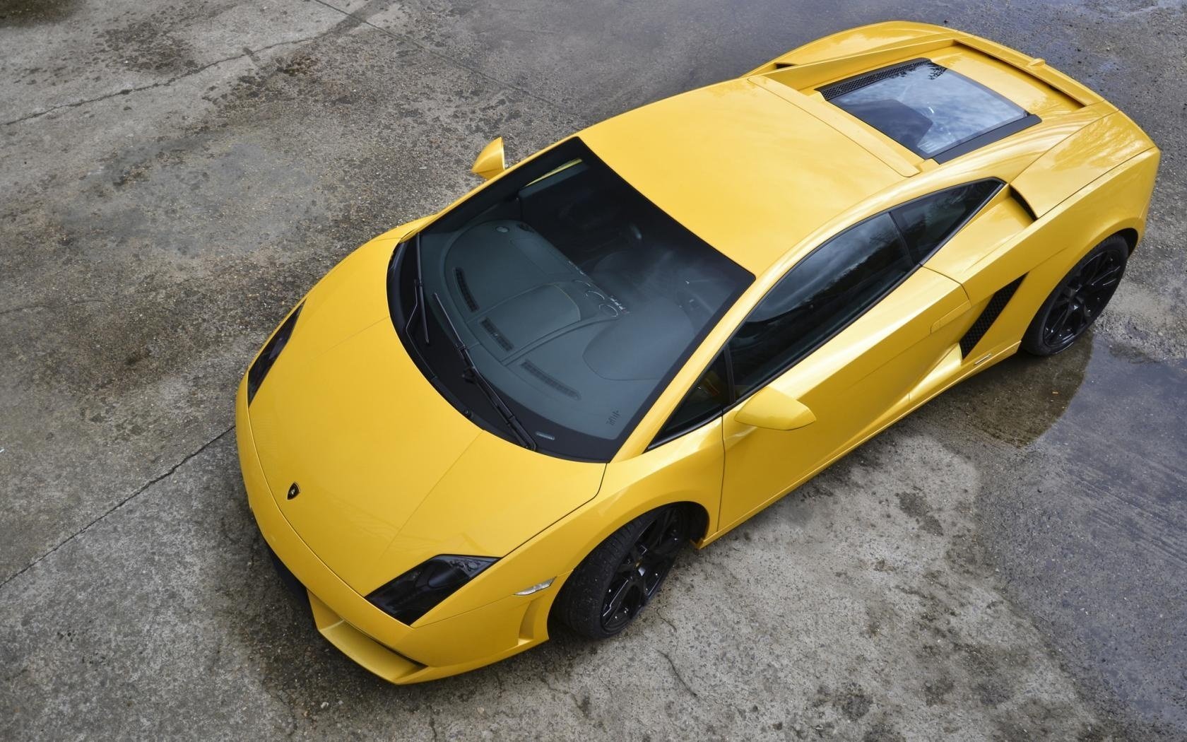 lamborghini lp560-4 ламборгини yellow gallardo