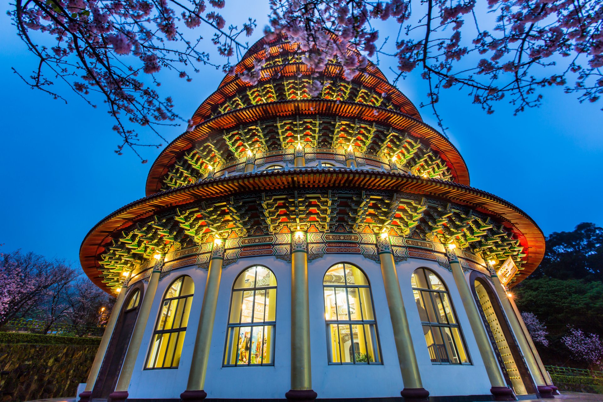 taiwán taipei templo iluminación árbol floración noche azul cielo