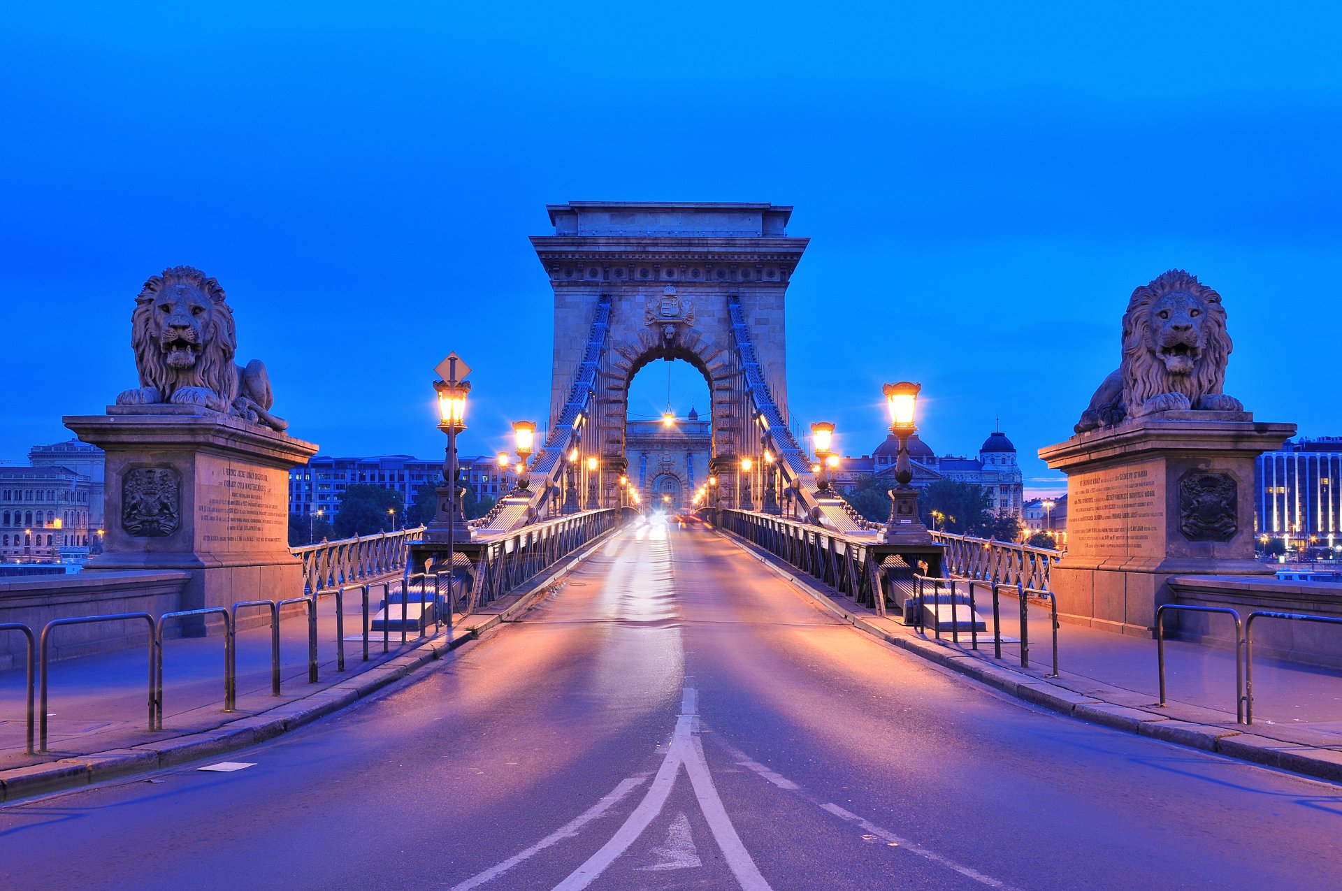 budapest magyarország hungary széchenyi lánchíd szechenyi chain bridge town night river danube sculpture lions road lighting lamp