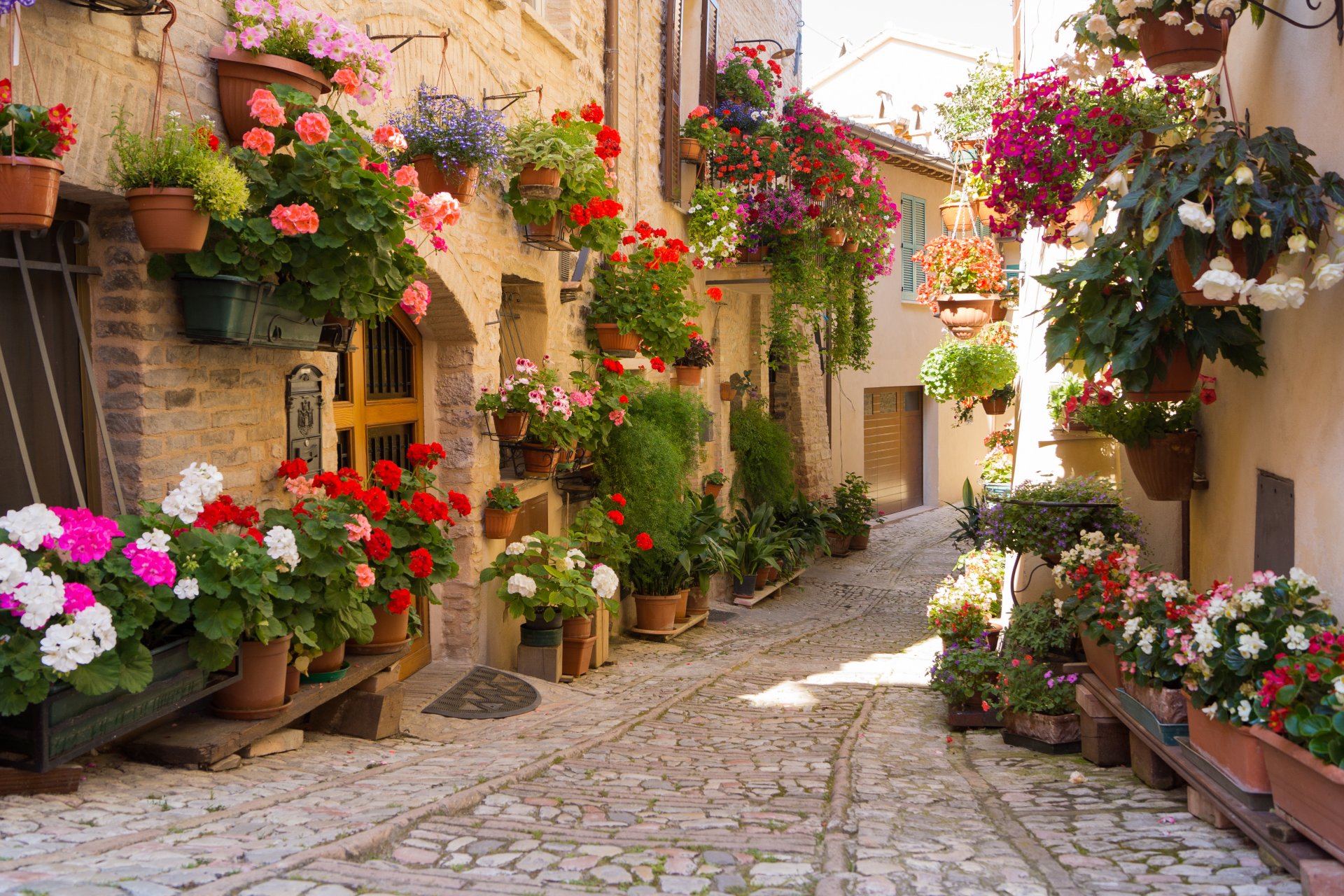 stadt blumen griechenland