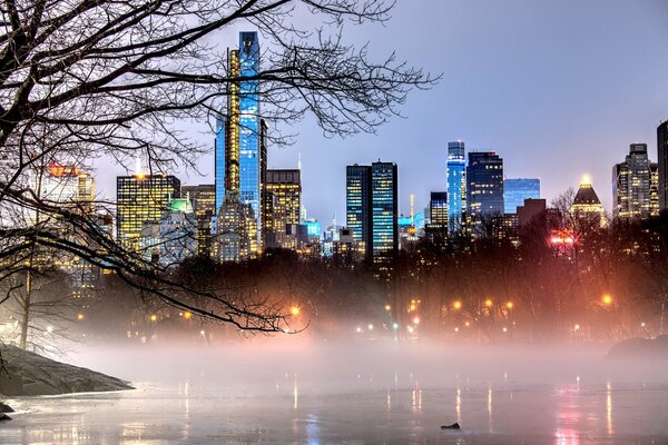 Mgła w parku nad Manhattanem