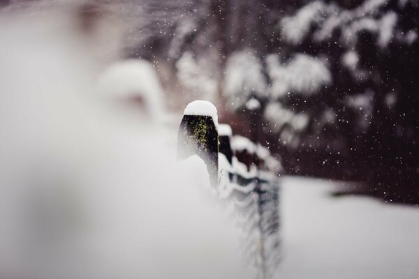 Snow, fence, winter and cold