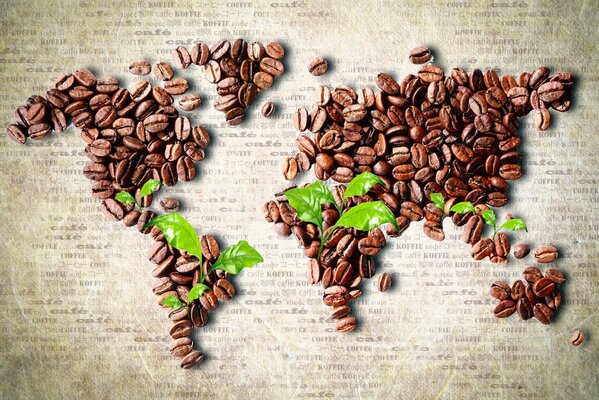 Granos de café dispuestos en un mapa del mundo