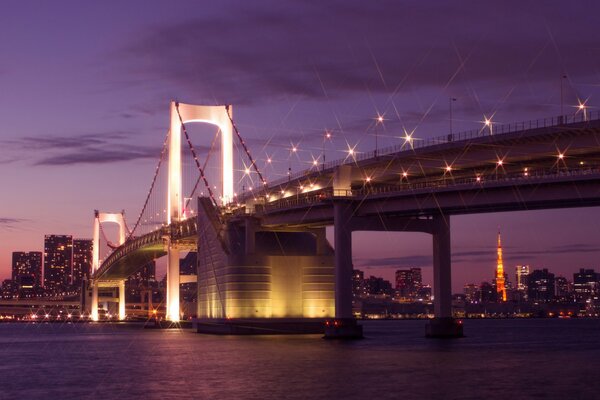 The capital of Japan is Tokyo in the light of night lanterns. Bay in the glow of purple clouds