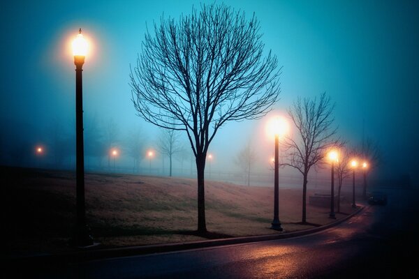 Lumières brûlantes dans le parc de nuit