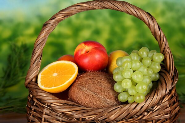 Basket with grapes, coconut, orange and nectarine