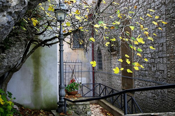 Cour avec lanterne et arbre en automne