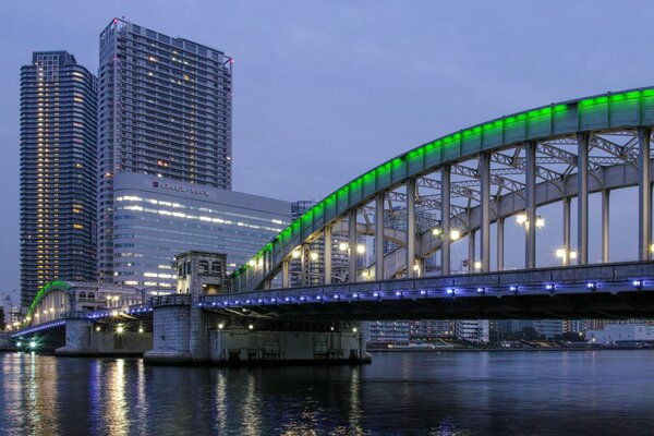 Brücke in Tokio leuchtet in der Bucht