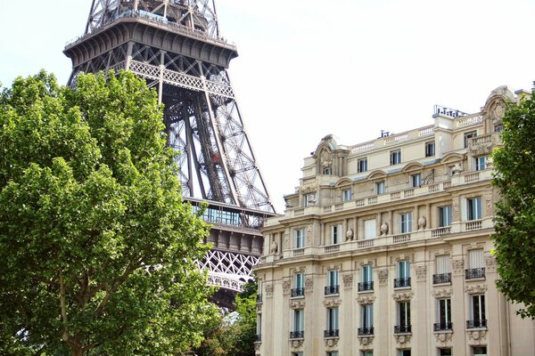 Eiffel Tower behind the house and tree