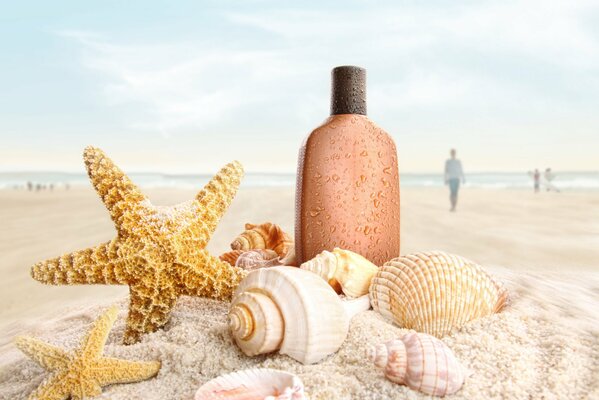 Coquillages et plage de sable