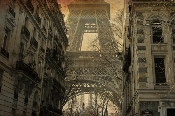 Widok na Wieżę Eiffla. Wieczorny Paryż