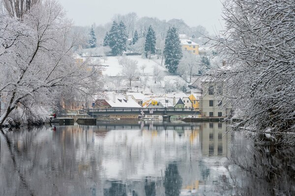 Praga de invierno con árboles en la nieve