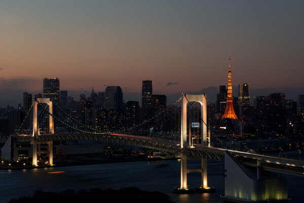 Wieże Tokio pogrążają się w zmierzchu