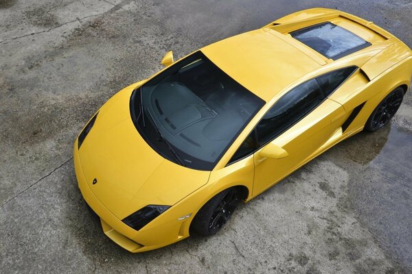 Żółte Lamborghini w całej okazałości