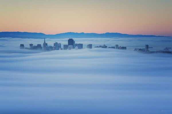 The tops of buildings peeking out of the fog
