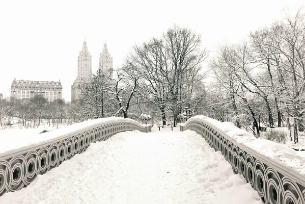 A bridge in the park of snowy Manhattan