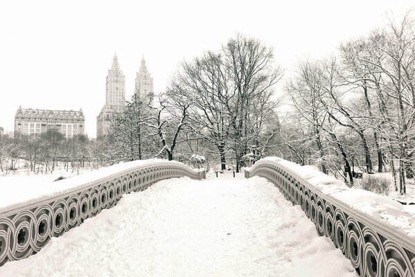 Pont dans le parc neigeux de Manhattan