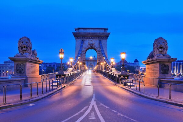 Paysage urbain du soir à Budapest