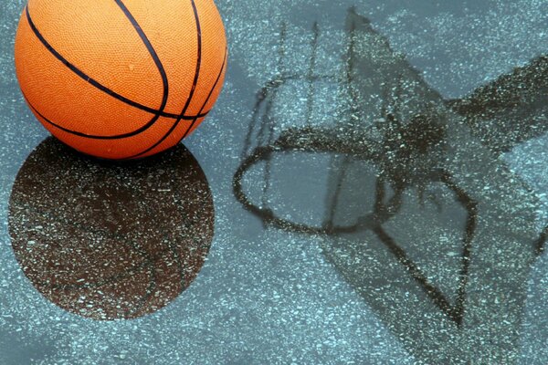 Reflection of a basketball in the water