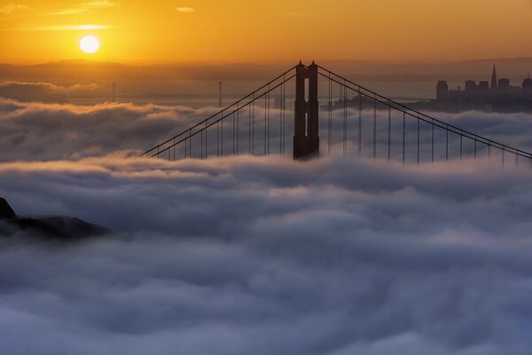Morning fog in San Francisco