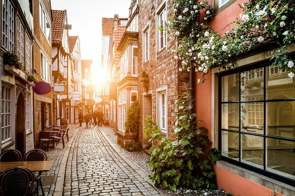 Germany street with summer cafes