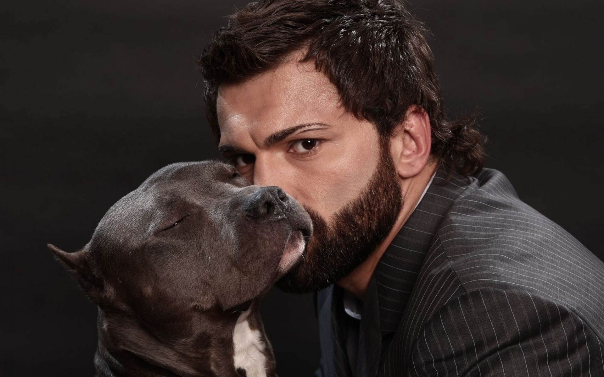 mixed martial arts pitbull man dog andrei arlovski fighter men