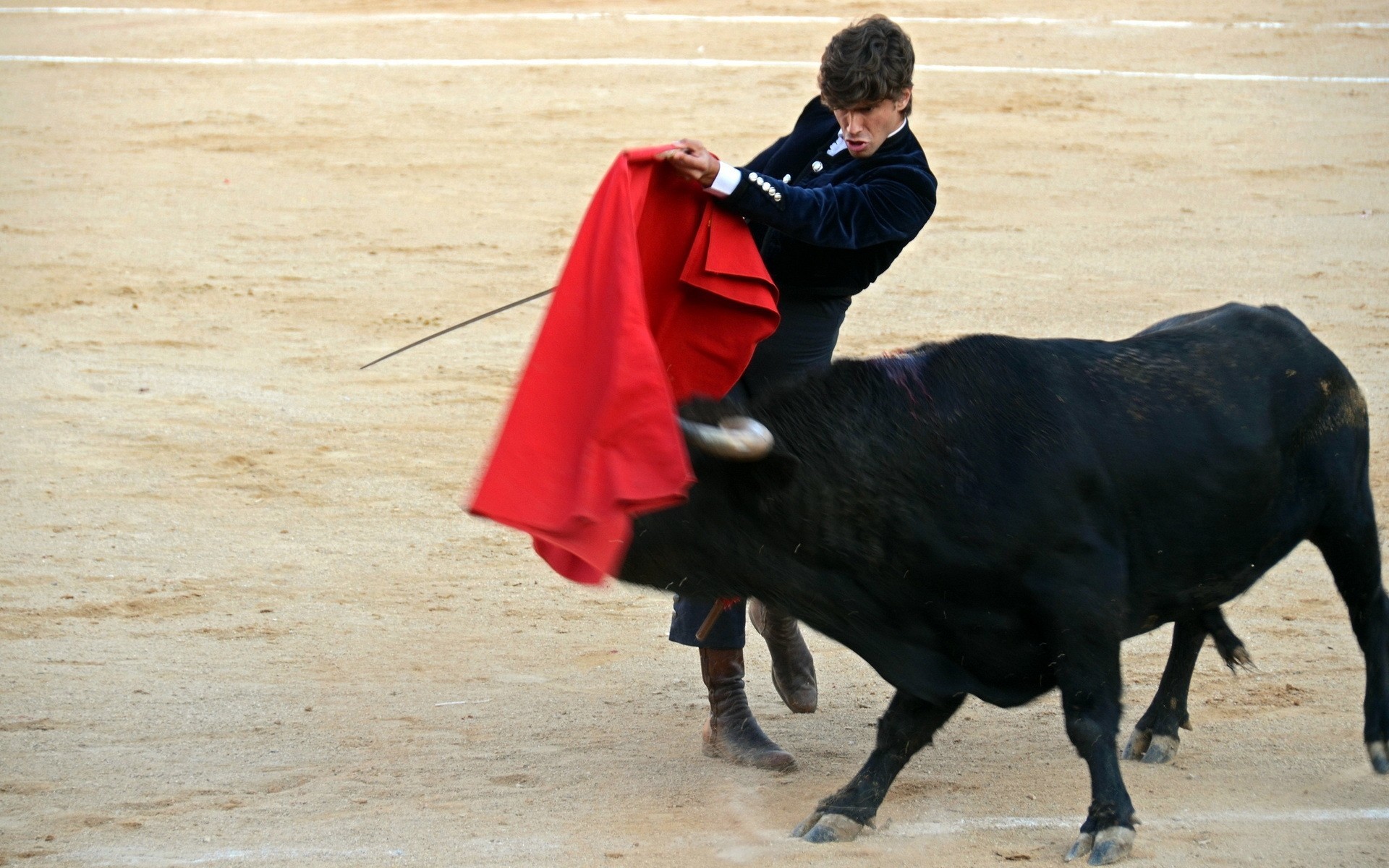 festival toros fiesta toro spagna