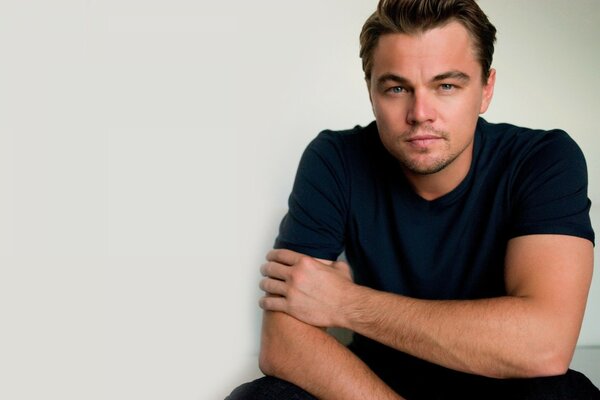 A picture of the American actor Leonardo DiCaprio