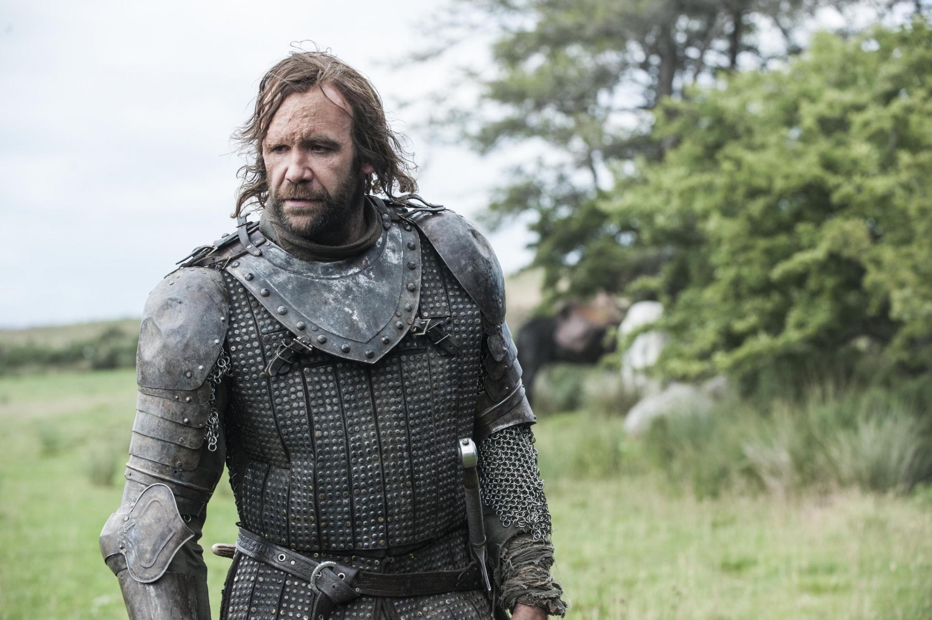 perro naturaleza armadura sandor clegane juego de tronos guerrero