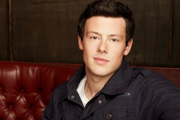 A handsome brunette man on a red sofa