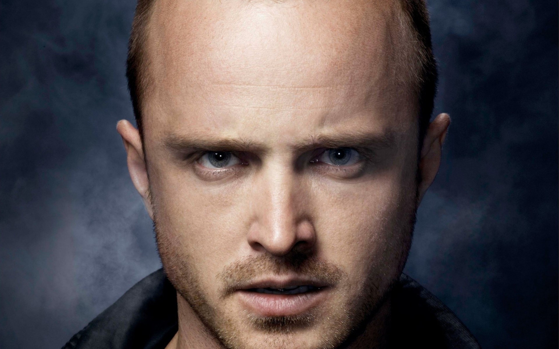 aaron paul fotografie prominente schauspieler