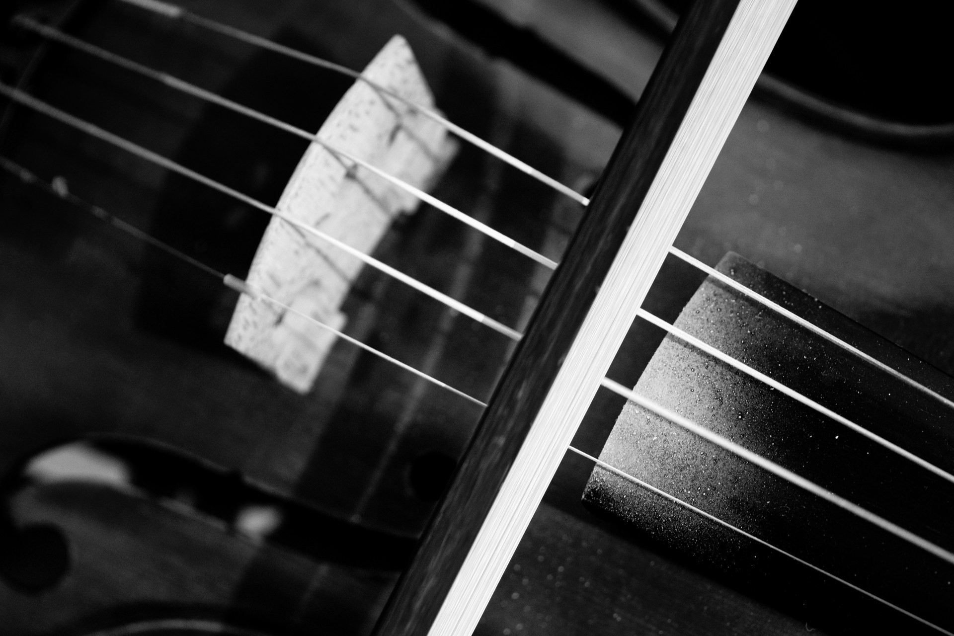 music violin monochrome