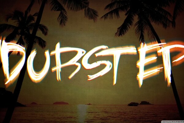 Dubstep disco on the beach under palm trees